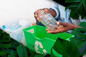 ot_Emp_Carrossel_Meio-ambiente01