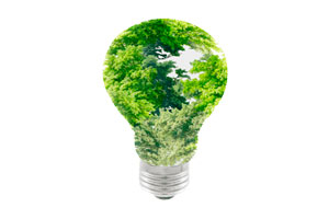 ot_Emp_Carrossel_Meio-ambiente05